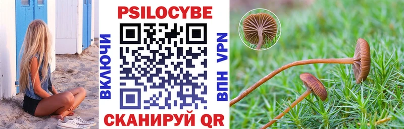 мориарти официальный сайт Нальчик Псилоцибиновые грибы мухоморы как найти